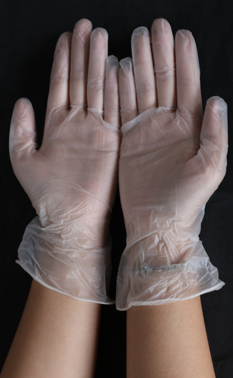 卡好PVC無粉檢驗手套  L