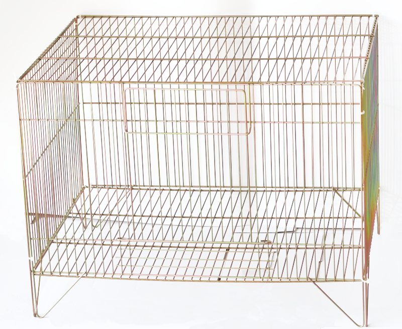 鐵雞籠  5分目  2尺